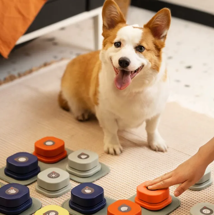 Pet Communication Button Toy – Recordable Training Tool