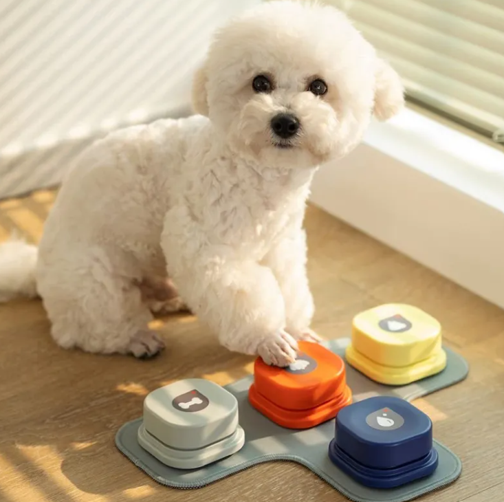 Pet Communication Button Toy – Recordable Training Tool