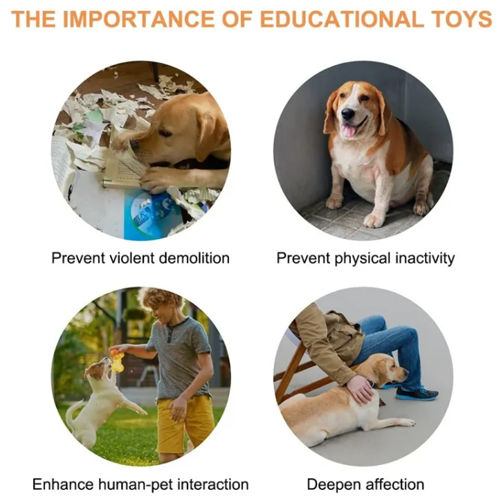 Pet Communication Button Toy – Recordable Training Tool