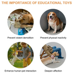 Pet Communication Button Toy – Recordable Training Tool