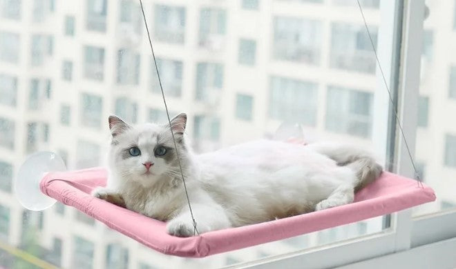 Cat Window Hammock Bed With Strong Suction Cups